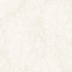 Ảnh Gạch Eurotile THT S04P 5