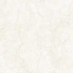 Ảnh Gạch Eurotile THT S04P 1