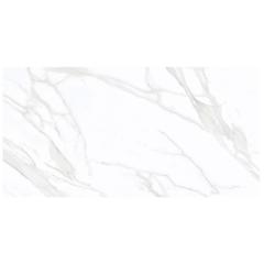 Ảnh Gạch Eurotile SIG. P4805 3