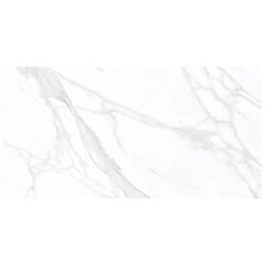 Ảnh Gạch Eurotile SIG.P-61205 4