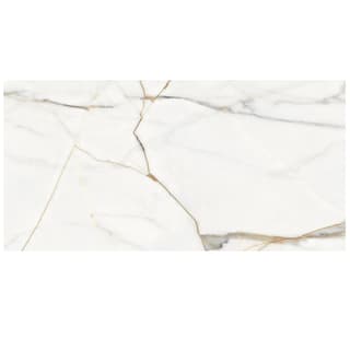 Gạch Eurotile DAN N01P