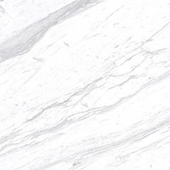 Ảnh Gạch Eurotile SIG. P8801 4