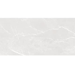 Ảnh Gạch HLG612013 1