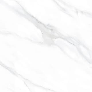 Ảnh Gạch HLG88001 2