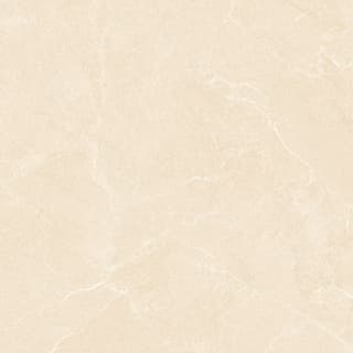 Ảnh Gạch HLG88004 4