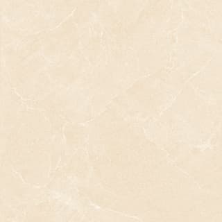 Ảnh Gạch HLG88004 2