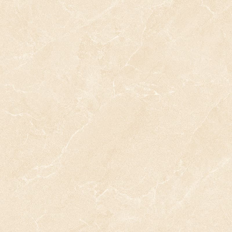 Gạch HLG88004