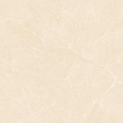 Ảnh Gạch HLG88004 5