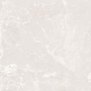 Ảnh Gạch HLG88019 4