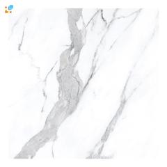 Ảnh Gạch Italy HL1212128B 4