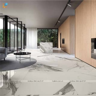 Ảnh Gạch Italy HL1212128B 2