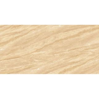 Ảnh Gạch Mikado CT3697-CT3696 3
