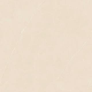 Ảnh Gạch Ấn Độ CSI100200B 4