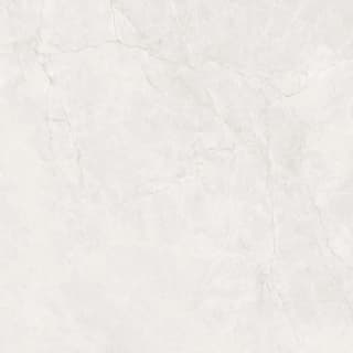 Ảnh Gạch Ấn Độ CSI100206B 6