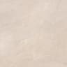 Gạch Viglacera Platinum PH66-01 4