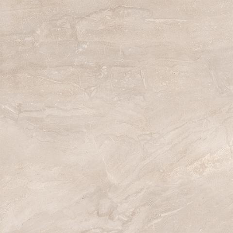 Gạch Viglacera Platinum PH66-01