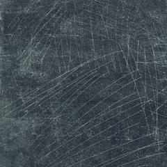 Ảnh Gạch Taicera G98309J 1