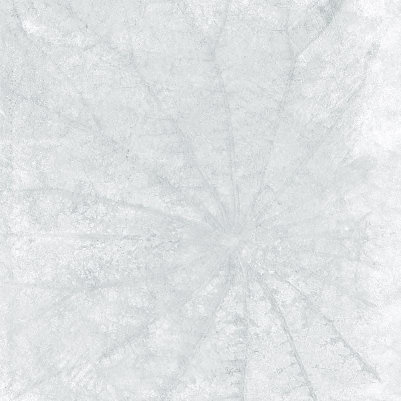 Gạch Taicera Lotus