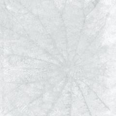Ảnh Gạch Taicera Lotus 1