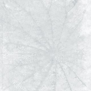 Ảnh Gạch Taicera Lotus 1