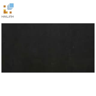 Ảnh Gạch Taicera HC600298-319 1