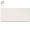 Gạch Taicera PL600x298-702N 1