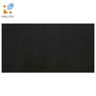 Ảnh Gạch Taicera HC600*298-319 1