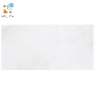 Ảnh Gạch Taicera PC600x298-418N 1