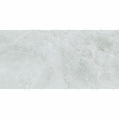 Ảnh Gạch Taicera GP12848 1