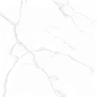 Ảnh Gạch Taicera GP88085 1
