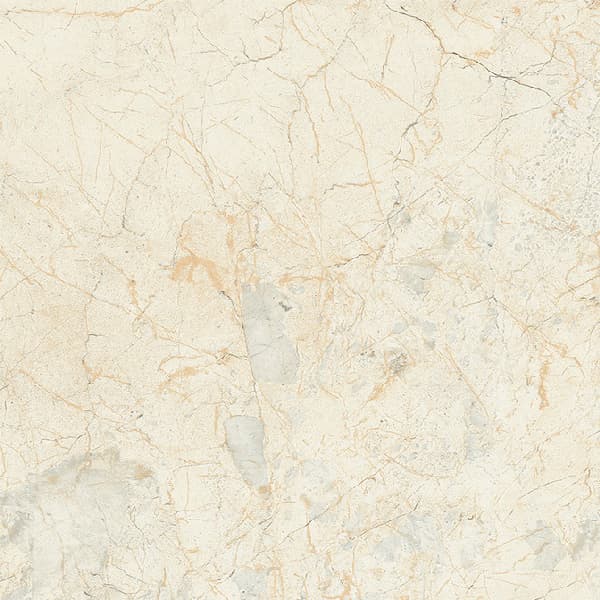 Gạch Taicera GP98903