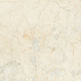 Ảnh Gạch Taicera GP98903 1