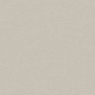 Ảnh Gạch Taicera G68030J 1