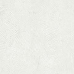 Ảnh Gạch Taicera G88825J 1