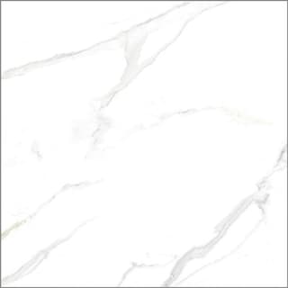 Ảnh Gạch Taicera GP88805J 80x80cm 2