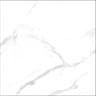 Gạch Taicera GP88805J 80x80cm 1