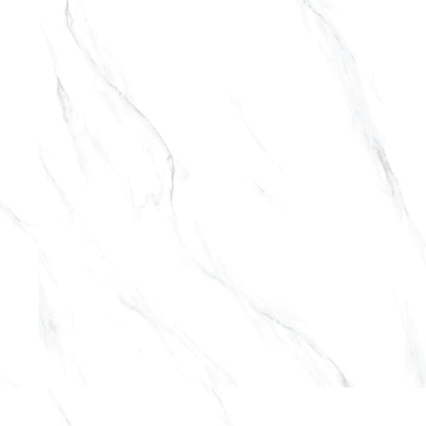 Gạch Taicera GP98865J