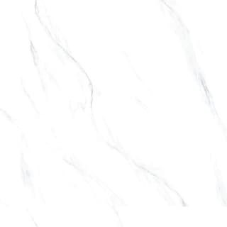 Ảnh Gạch Taicera GP98865J 1