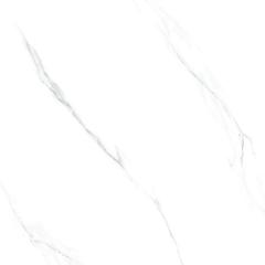 Ảnh Gạch Taicera GP98865J 2