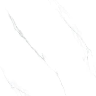 Ảnh Gạch Taicera GP98865J 2