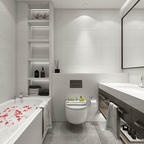 Gạch Tây Ban Nha HL3960