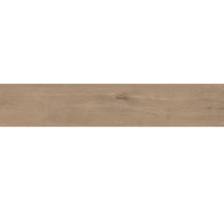 Gạch Tây Ban Nha 2312LUCOAAN