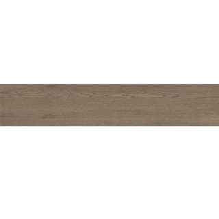 Gạch Tây Ban Nha 2312LUCTIAN