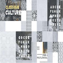 Ảnh Gạch Viglacera CL1-GP4801A 1