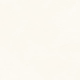 Ảnh Gạch Viglacera CL4-GP4804 1