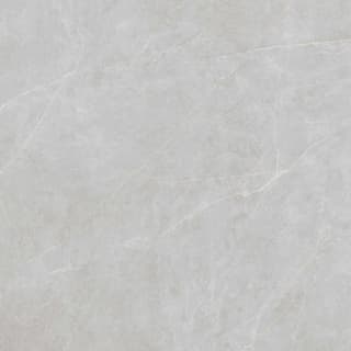 Ảnh Gạch Viglacera FL56-9GP101003 1