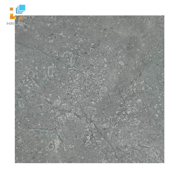Gạch Viglacera SH302 vân đá màu đen