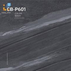 Ảnh Gạch Viglacera CBP601 1