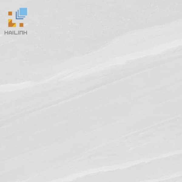 Gạch Viglacera CBP603