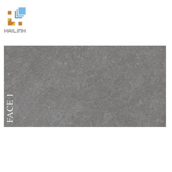 Gạch Viglacera PT20-G3603